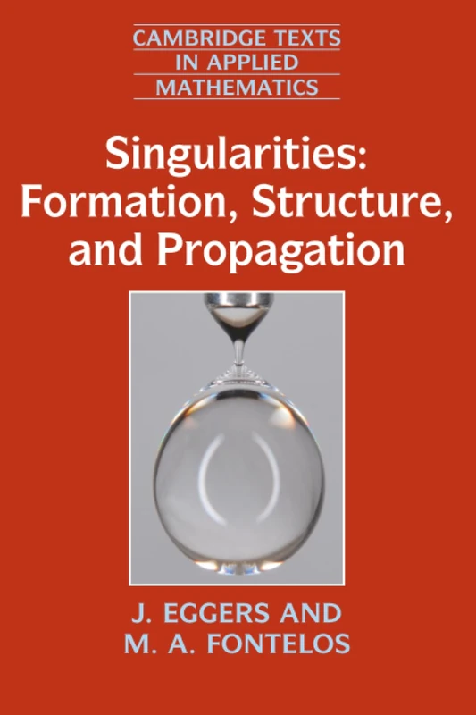 Singularities: Formation, Structure, and Propagation: 53 (Cambridge Texts in Applied Mathematics, Series Number 53)