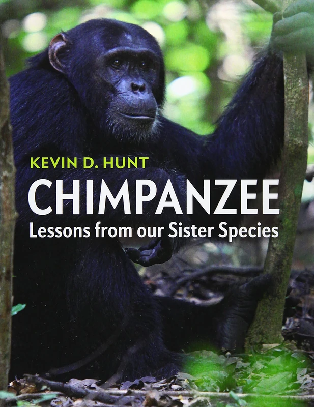 Chimpanzee: Lessons from our Sister Species