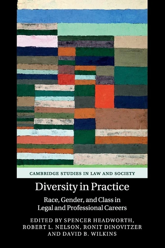 Diversity in Practice: Race, Gender, and Class in Legal and Professional Careers (Cambridge Studies in Law and Society)