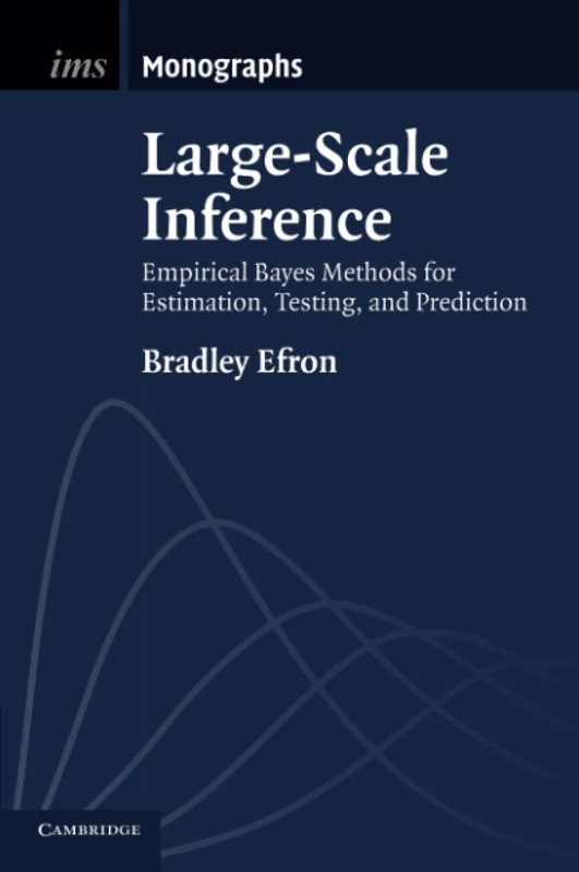 Large-Scale Inference: Empirical Bayes Methods for Estimation, Testing, and Prediction: 1 (Institute of Mathematical Statistics Monographs, Series Number 1)