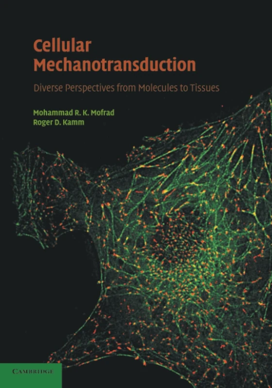 Cellular Mechanotransduction: Diverse Perspectives from Molecules to Tissues