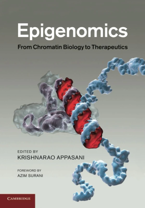 Epigenomics: From Chromatin Biology to Therapeutics