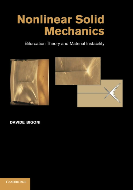 Nonlinear Solid Mechanics: Bifurcation Theory and Material Instability