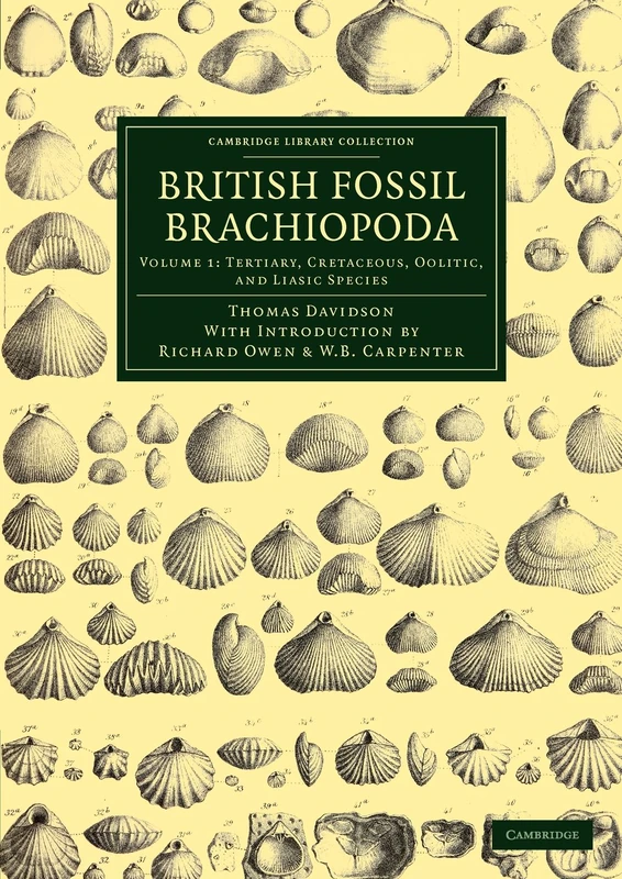 British Fossil Brachiopoda: Tertiary, Cretaceous, Oolitic, and Liasic Species: Volume 1 (Cambridge Library Collection - Earth Science)