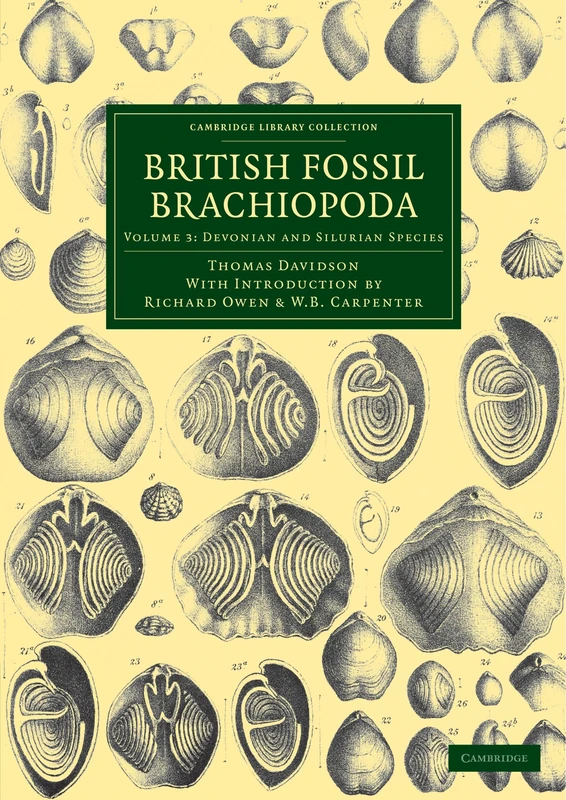 British Fossil Brachiopoda: Volume 3: Devonian and Silurian Species (Cambridge Library Collection - Earth Science)