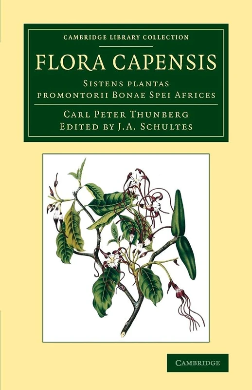 Flora Capensis: Sistens plantas promontorii Bonae Spei Africes (Cambridge Library Collection - Botany and Horticulture)