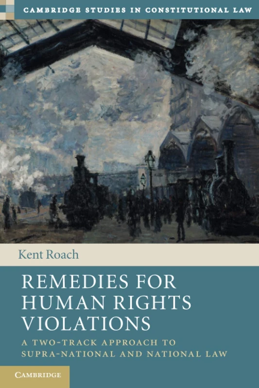 Remedies for Human Rights Violations: A Two-Track Approach to Supra-national and National Law: 27 (Cambridge Studies in Constitutional Law, Series Number 27)