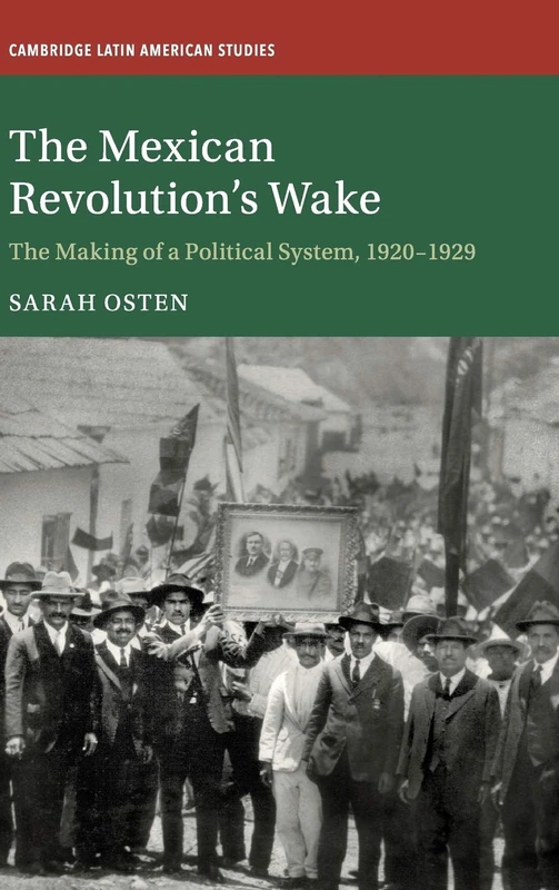 The Mexican Revolution's Wake: The Making of a Political System, 1920–1929: 108 (Cambridge Latin American Studies, Series Number 108)