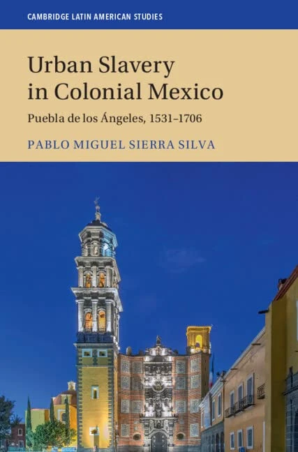 Urban Slavery in Colonial Mexico: Puebla de los Ángeles, 1531–1706: 109 (Cambridge Latin American Studies, Series Number 109)