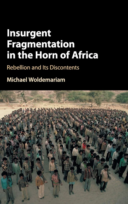 Insurgent Fragmentation in the Horn of Africa: Rebellion and its Discontents - Image 1