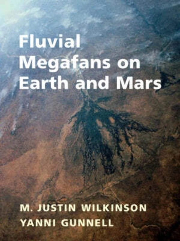 Fluvial Megafans on Earth and Mars: A Significant Mesoscale Landform