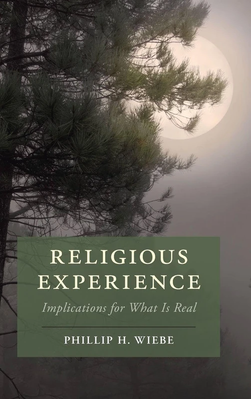 Religious Experience: Implications for What Is Real (Cambridge Studies in Religion, Philosophy, and Society)