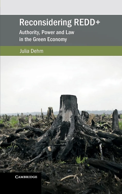 Reconsidering REDD+: Authority, Power and Law in the Green Economy (Cambridge Studies on Environment, Energy and Natural Resources Governance)