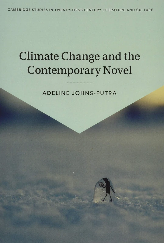 Climate Change and the Contemporary Novel (Cambridge Studies in Twenty-First-Century Literature and Culture)