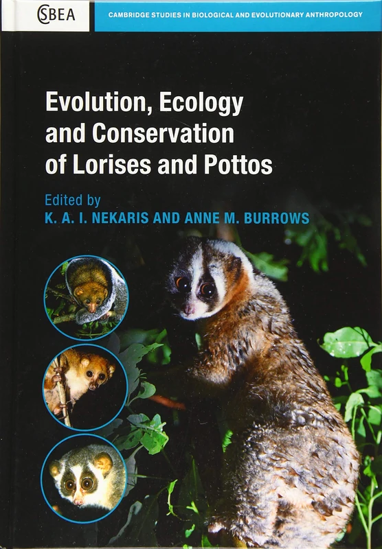 Evolution, Ecology and Conservation of Lorises and Pottos (Cambridge Studies in Biological and Evolutionary Anthropology)