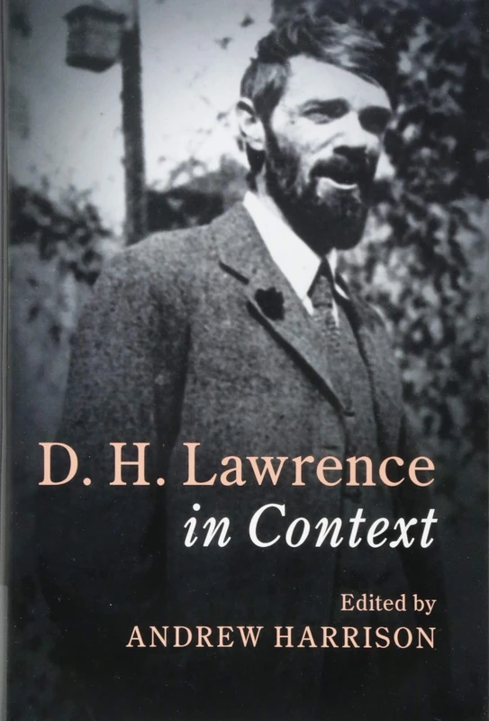 D. H. Lawrence In Context (Literature in Context)