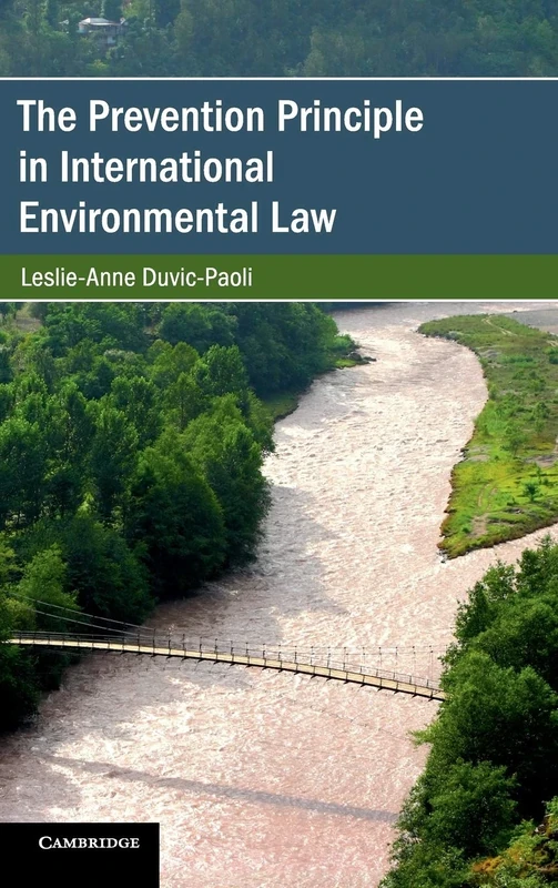 The Prevention Principle in International Environmental Law (Cambridge Studies on Environment, Energy and Natural Resources Governance) - Image 1