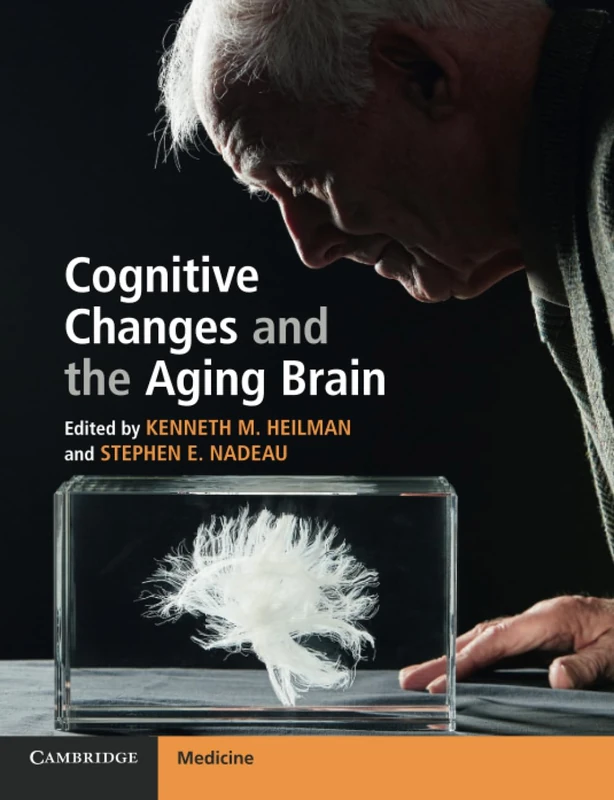 Cognitive Changes and the Aging Brain