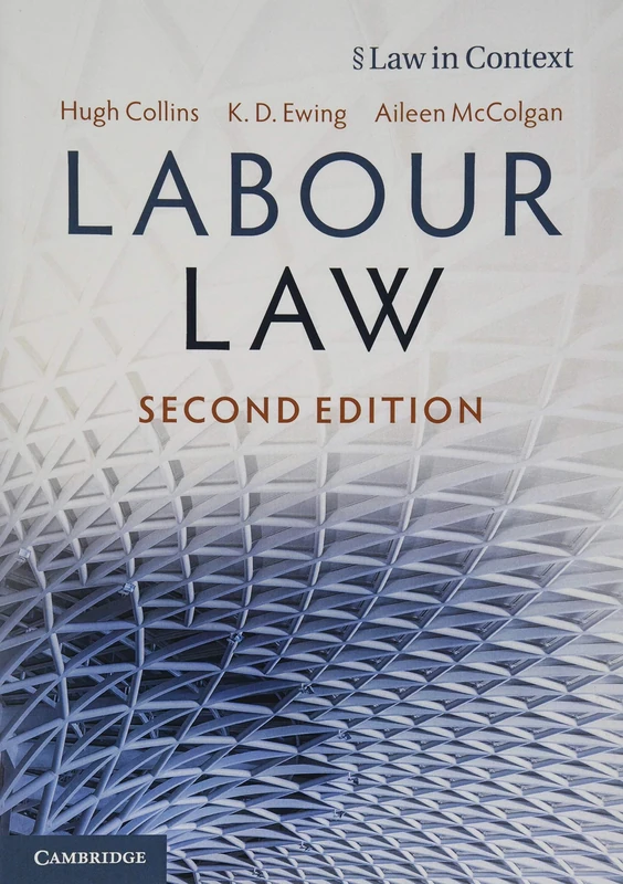 Labour Law (Law in Context)
