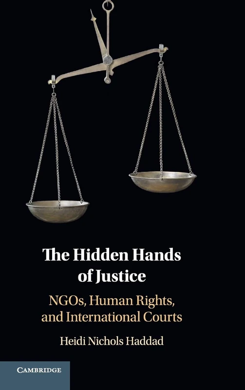 The Hidden Hands of Justice: NGOs, Human Rights, and International Courts - Image 1