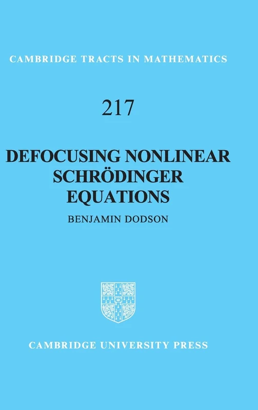 Defocusing Nonlinear Schrödinger Equations: 217 (Cambridge Tracts in Mathematics, Series Number 217)