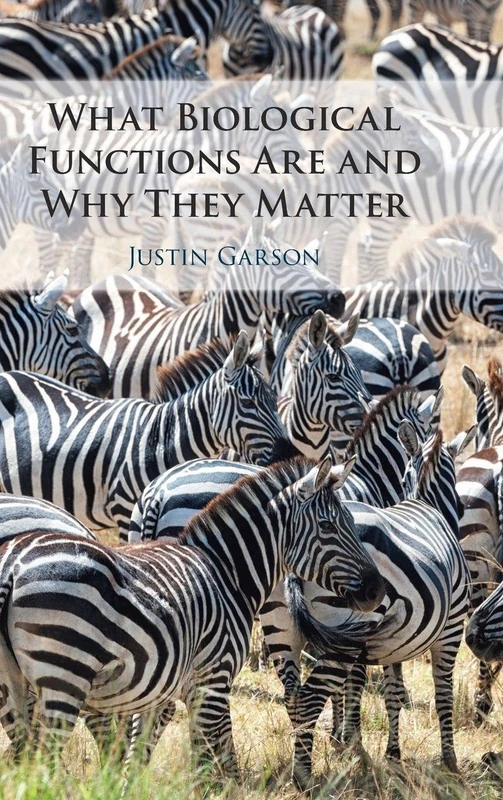 What Biological Functions Are and Why They Matter
