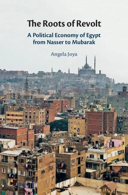 The Roots of Revolt: A Political Economy of Egypt from Nasser to Mubarak - Image 1