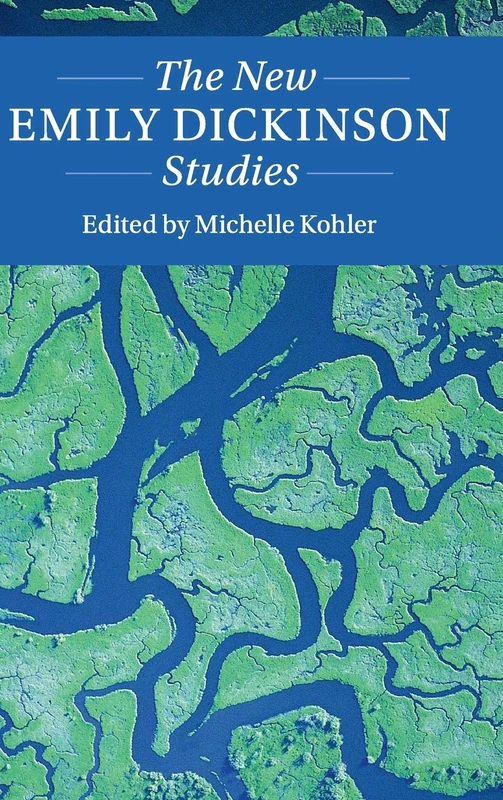 The New Emily Dickinson Studies (Twenty-First-Century Critical Revisions)