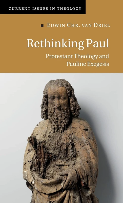 Rethinking Paul: Protestant Theology and Pauline Exegesis: 17 (Current Issues in Theology, Series Number 17)