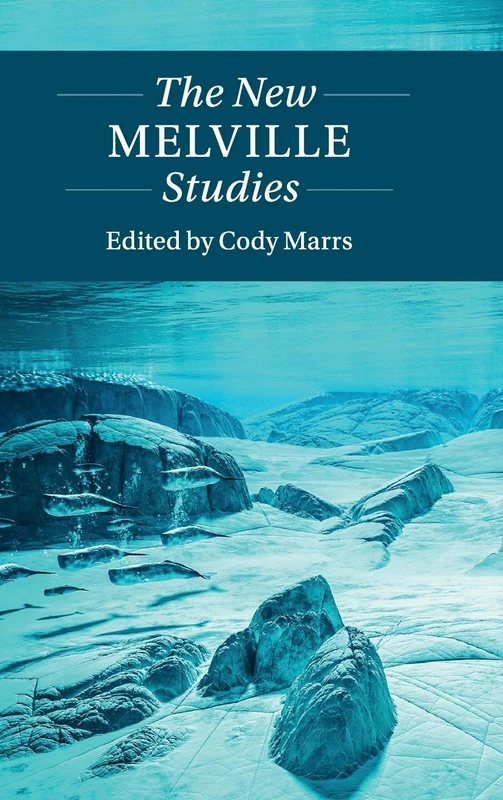 The New Melville Studies (Twenty-First-Century Critical Revisions)