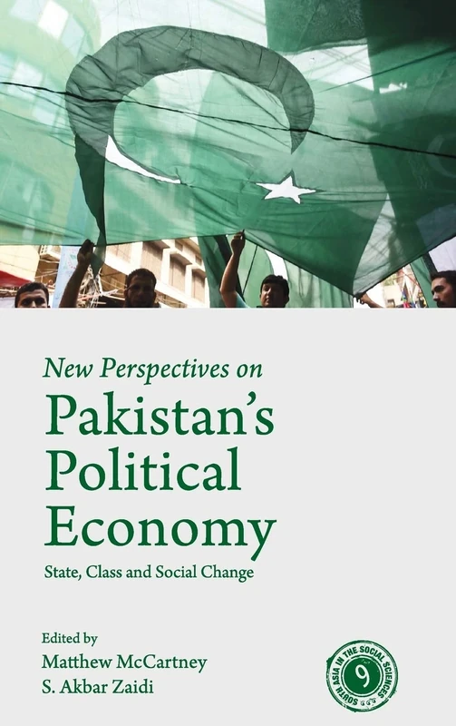 New Perspectives on Pakistan's Political Economy: State, Class and Social Change (South Asia in the Social Sciences)