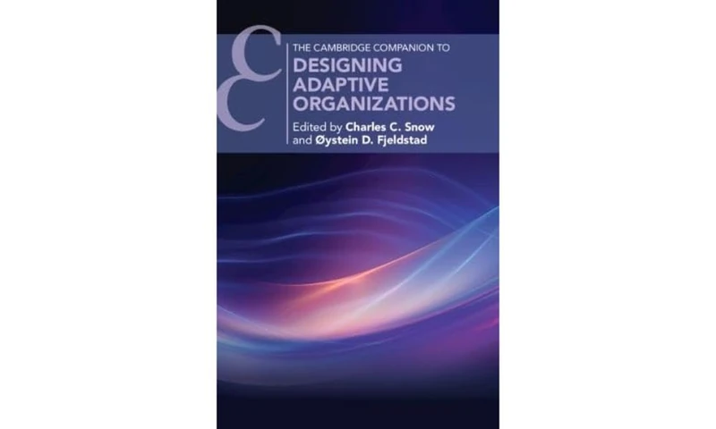 Designing Adaptive Organizations (Cambridge Companions to Management)