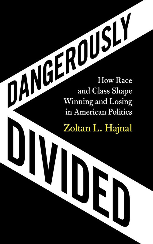 Dangerously Divided: How Race and Class Shape Winning and Losing in American Politics - Image 1