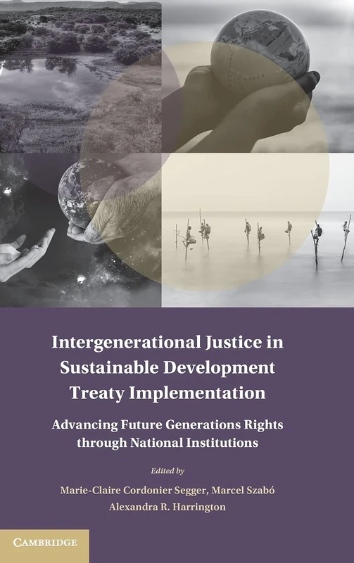 Intergenerational Justice in Sustainable Development Treaty Implementation: Advancing Future Generations Rights through National Institutions (Treaty Implementation for Sustainable Development)