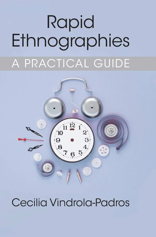 Rapid Ethnographies: A Practical Guide