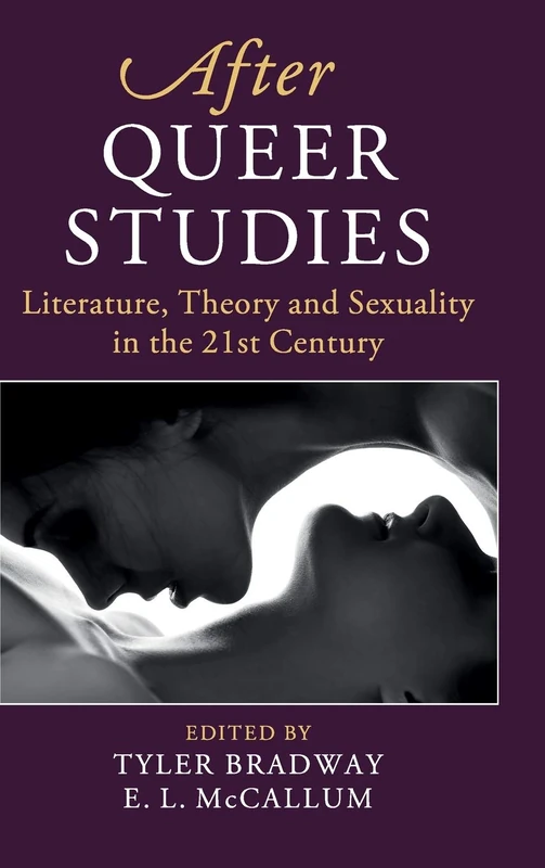 After Queer Studies (After Series)