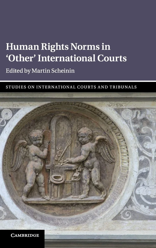 Human Rights Norms in ‘Other' International Courts (Studies on International Courts and Tribunals)