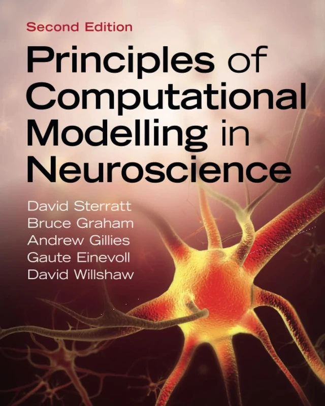 Principles of Computational Modelling in Neuroscience