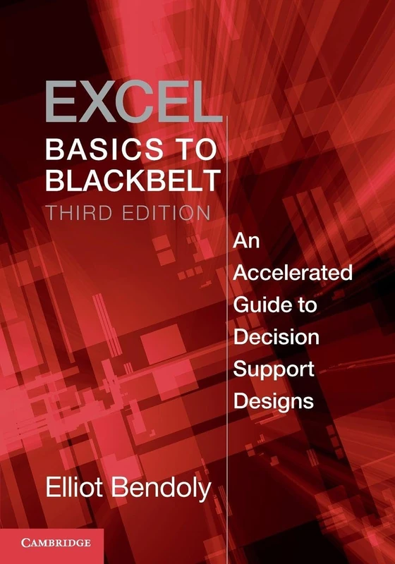 Excel Basics to Blackbelt: An Accelerated Guide to Decision Support Designs