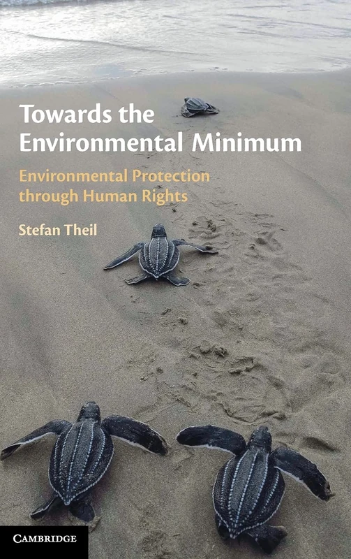 Towards the Environmental Minimum: Environmental Protection through Human Rights