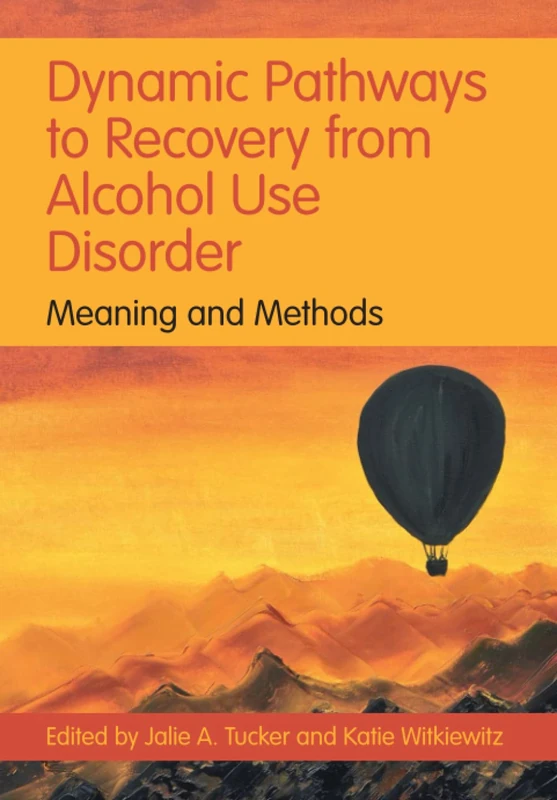 Dynamic Pathways to Recovery from Alcohol Use Disorder: Meaning and Methods
