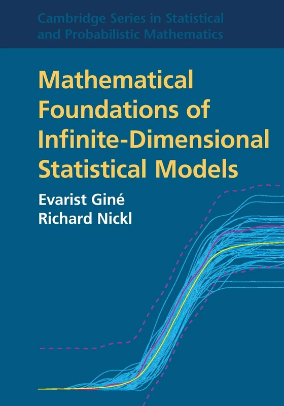 Mathematical Foundations of Infinite-Dimensional Statistical Models: Series Number 40 (Cambridge Series in Statistical and Probabilistic Mathematics, Series Number 40)