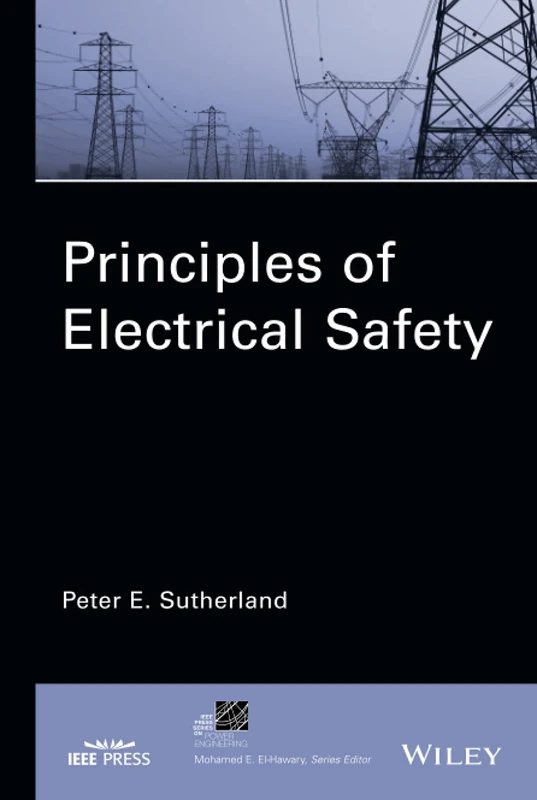 Principles of Electrical Safety (IEEE Press Series on Power and Energy Systems)