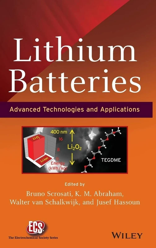Lithium Batteries: Advanced Technologies and Applications (The ECS Series of Texts and Monographs)
