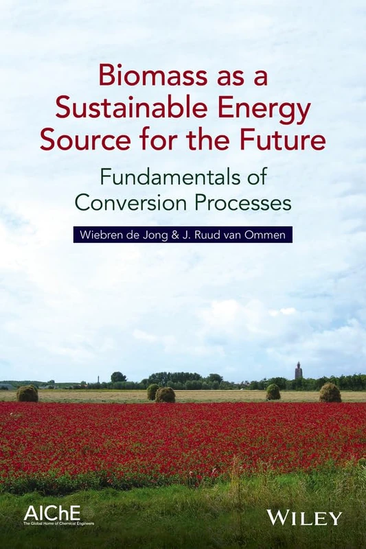 Biomass as a Sustainable Energy Source for the Future: Fundamentals of Conversion Processes