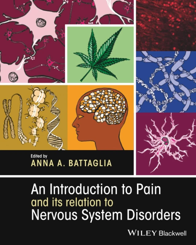 An Introduction to Pain and its relation to Nervous System Disorders
