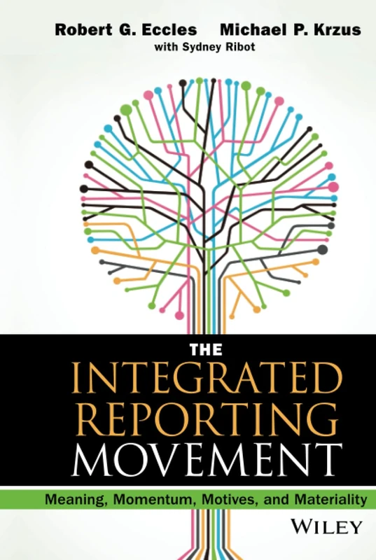 The Integrated Reporting Movement: Meaning, Momentum, Motives, and Materiality (Wiley Corporate F&A)
