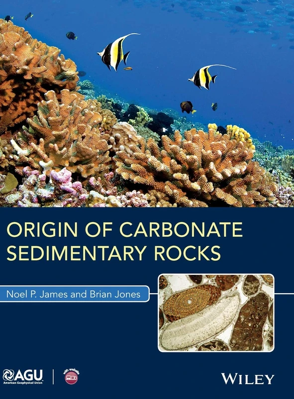 Origin of Carbonate Sedimentary Rocks (Wiley Works)