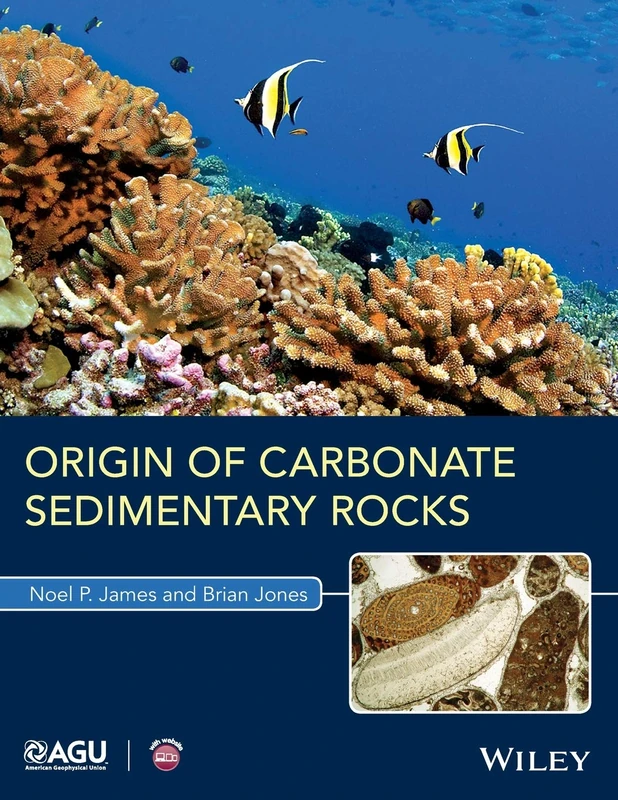 Origin of Carbonate Sedimentary Rocks (Wiley Works)