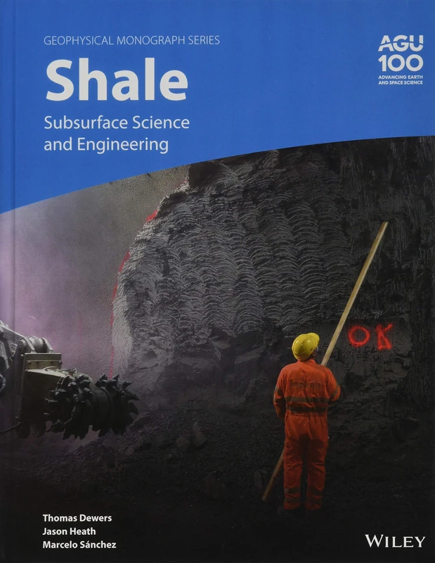Shale: Subsurface Science and Engineering: 245 (Geophysical Monograph Series)